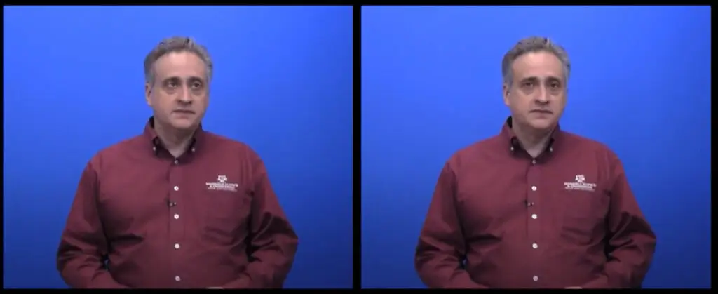 Nvidia Gaze Catie converter for Beamer to LTX-Talk